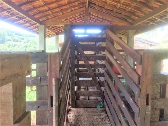 Imagem FAZENDA RURAL À VENDA, ROSETA, CAMBUÍ.