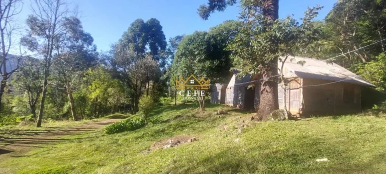 Imagem Chácara - Sítio com 4 Dormitorio(s) localizado(a) no bairro Carapina em São Francisco de Paula / RIO GRANDE DO SUL Ref.:1536