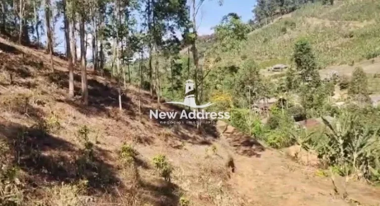 Imagem Chácara à venda com mais de 3.000m² em Alfredo Chaves/ES