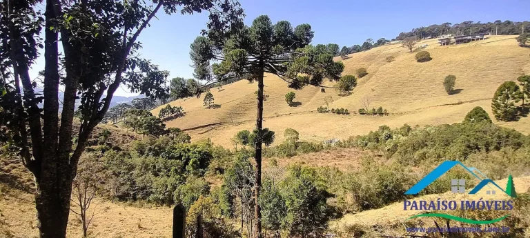 Imagem Conecte-se à Natureza: Terreno Rural com Nascente e Vista Panorâmica!