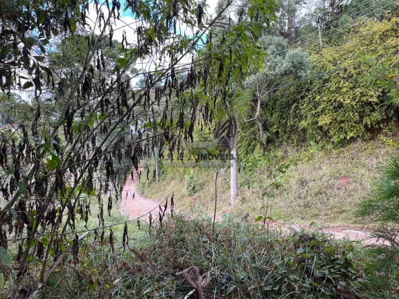 Imagem Terreno à venda em Campos do Jordão - Excelente opção para investimento