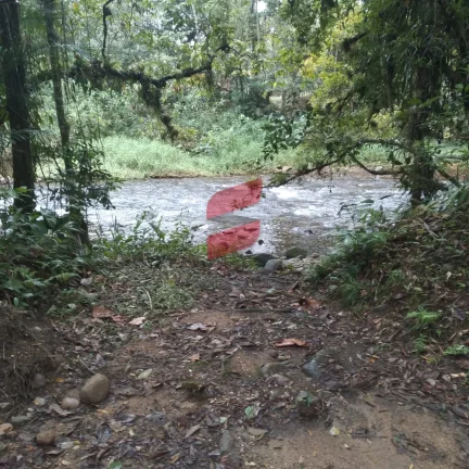 Imagem CHÁCARA com 2 dormitórios à venda com 16000m² por R$ 375.000,00 no bairro Rio do Nunes - ANTONINA / PR