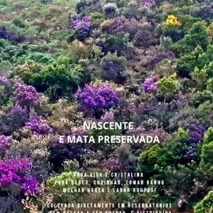 Imagem Um refúgio vivo na Mantiqueira. Natureza, consciência e liberdade.