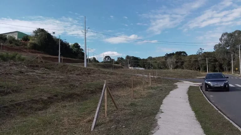 Imagem Terrenos a Venda no Campina da Barra em Araucária PR
