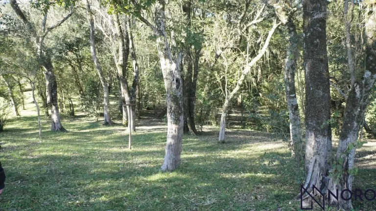 Imagem Lindíssima chácara, 2,1ha, acesso asfaltado, com sede, cocheiras, horta, pomar,