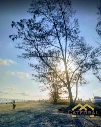 Imagem Terreno Balneario Araça Ilha comprida