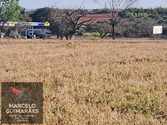 Imagem Propriedade Rural em Guaimbê, SP - 12 Alqueires Sitio Valenciano