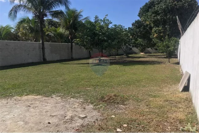 Imagem Terreno 480m, plano e murado, Jardim Atlântico Leste, Itaipuaçu.