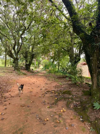 Imagem  Sítio Exclusivo em Atibaia/SP: Natureza e Conforto em 7,9 Hectares