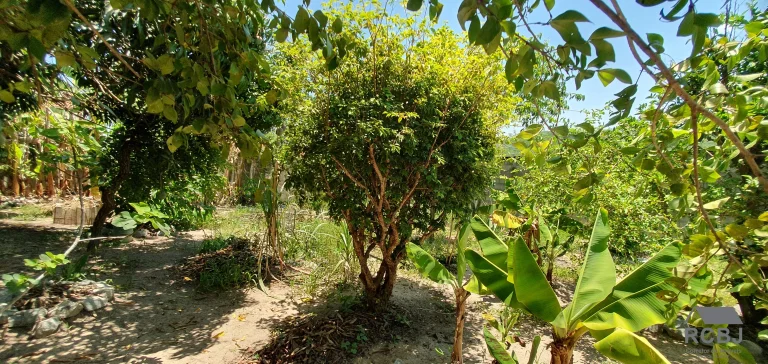 Imagem CASA RESIDENCIAL em ESMERALDAS - MG, FERNÃO DIAS