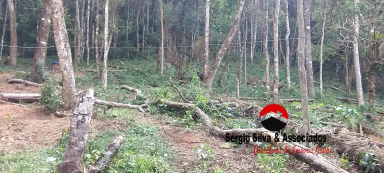 Imagem Terreno a Venda na Região da Nova Capivari em Campos do Jordão -SP.