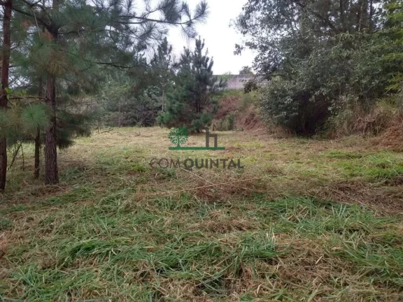 Imóvel Comercial à Venda, 10 m² em Jardim Guerreiro - Cotia