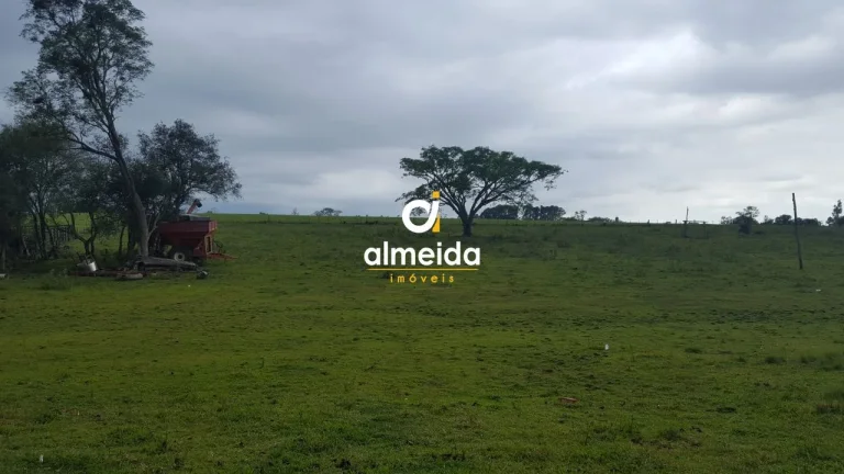 Imagem TERRENO NA BR392