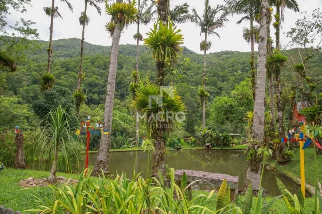 Imagem Sitio | Rio Molha | Jaraguá do Sul
