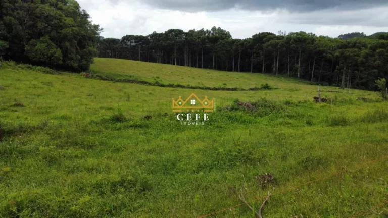 Imagem Chácara - Sítio com 3 Dormitorio(s) localizado(a) no bairro Zona Rural em Santa Maria do Herval / RIO GRANDE DO SUL Ref.:1545