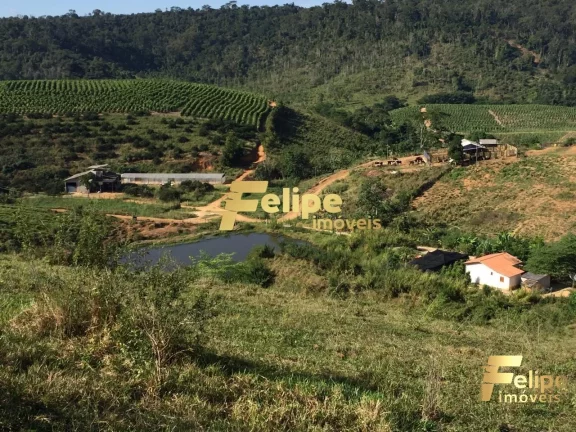 FAZENDA EM COLATINA (28KM DO CENTRO) / UM IMPERDÍVEL NEGÓCIO!