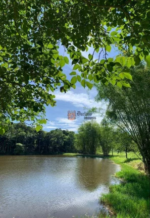 Imagem Sítio com 30 dormitórios à venda, 338800 m² por R$ 8.000.000 - Chácaras Eldorado - Santa Isabel/SP