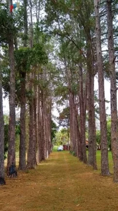 Imagem Chácara em Loteamento Chácara Gaioto, Tatuí/SP