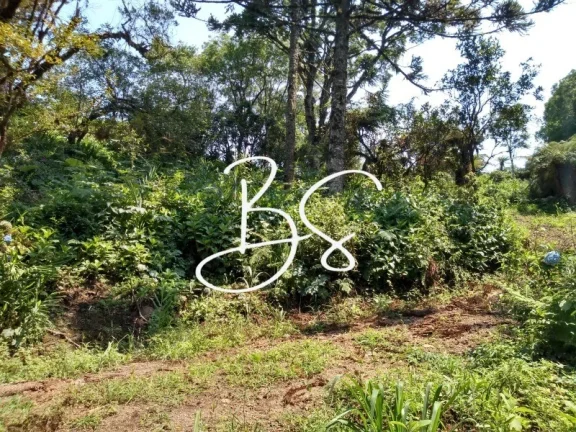 Imagem CHACARA RURAL em IGREJINHA - RS, Serra Grande