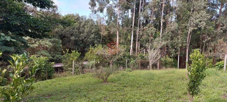 Imagem Chácara à venda em Campo Largo/PR