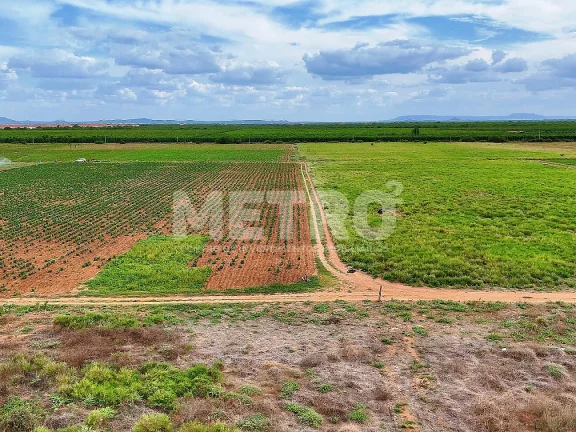 Imagem Fazenda com 116ha, Casa, Galpão, 25ha plantados e mais 32 prontos para plantar