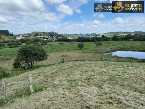 Imagem Sítio para Venda em Centro São Lourenço do Sul-RS - 2552