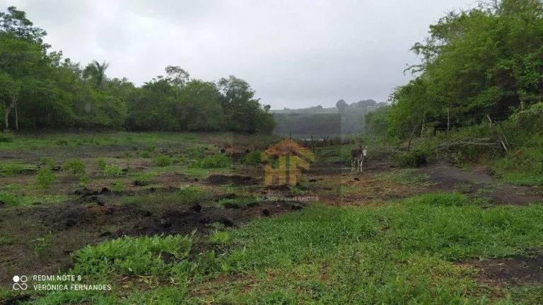 Imagem Fazenda com terreno de 14.888 hectares à venda em Paudalho, Pernambuco