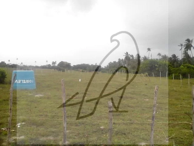 Imagem Lotes para venda Sítio do Conde, Conde-BA