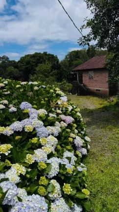 Imagem Chácara - Sítio com 2 Dormitorio(s) localizado(a) no bairro Serra Grande em Três Coroas / RIO GRANDE DO SUL Ref.:1597