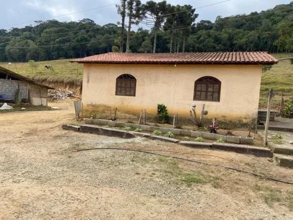 Imagem Fazenda à venda em Barbacena, Correia de Almeida, com 4 quartos, 30,2357ha