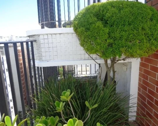 Imagem Apartamento à venda no Guarujá na Praia das Pitangueiras