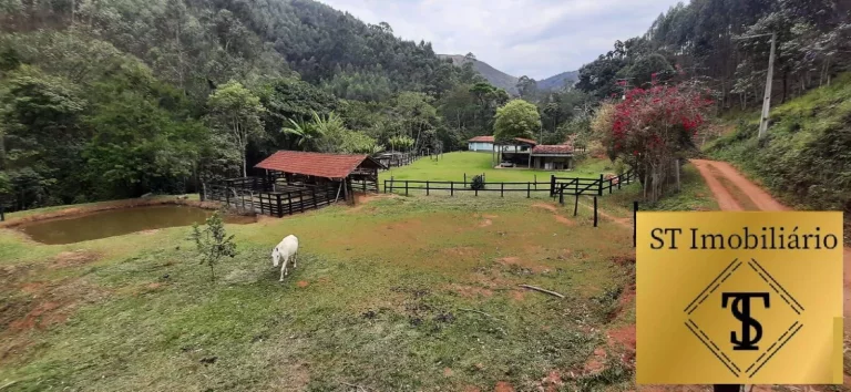 Imagem Sítio 37.000 m² com Lago e Cocheira Fácil Acesso Piracaia