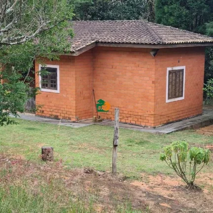 Imagem Chácara para Venda em São Roque, Centro (canguera), 3 dormitórios, 2 suítes, 1 banheiro