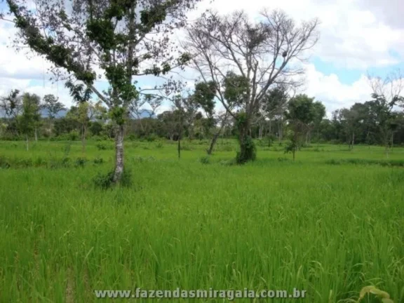 Imagem Fazenda para Venda por R$16.000.000,00 - Monte alegre, Goiania / GO - Cód. BDI24609