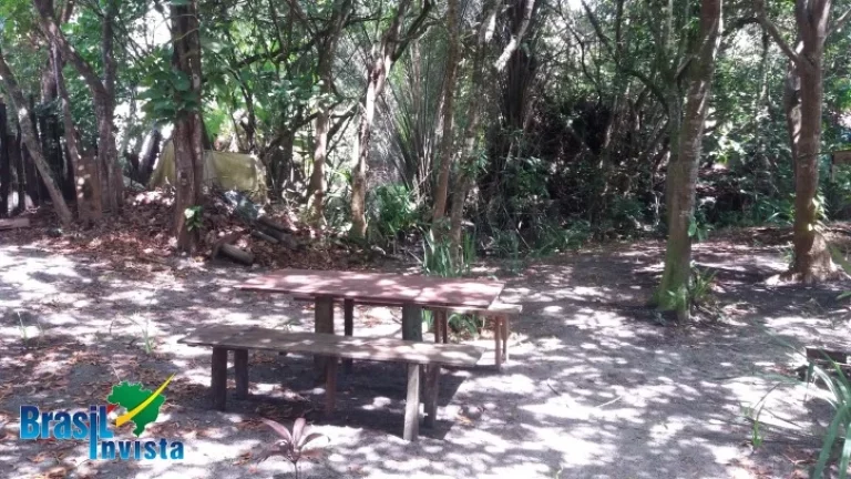 Imagem LINDA ÁREA EM CABRÁLIA