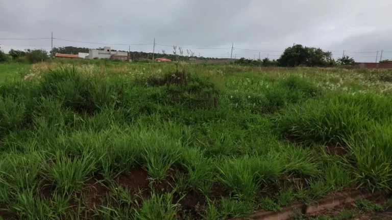 Imagem Terreno ((Terra Bella)