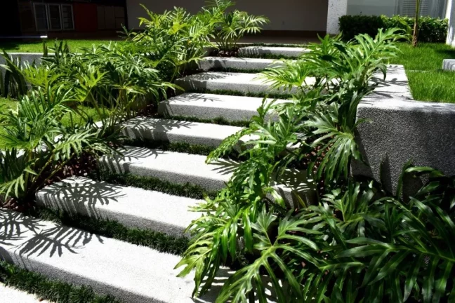Imagem Casa alto padrão 410 m no Bairro Boaçava