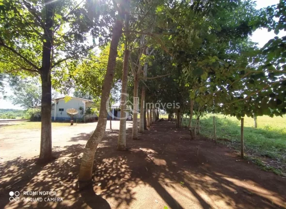Imagem Excelente Chácara, 15.5 Ha, formada,