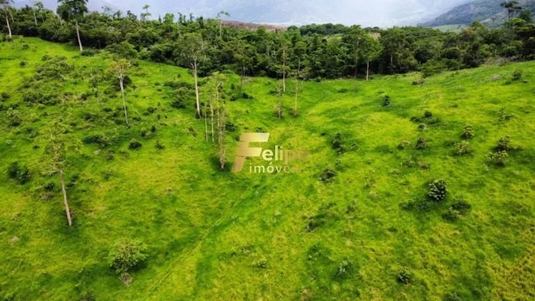 Imagem LINDA FAZENDA A 70KM DE COLATINA!