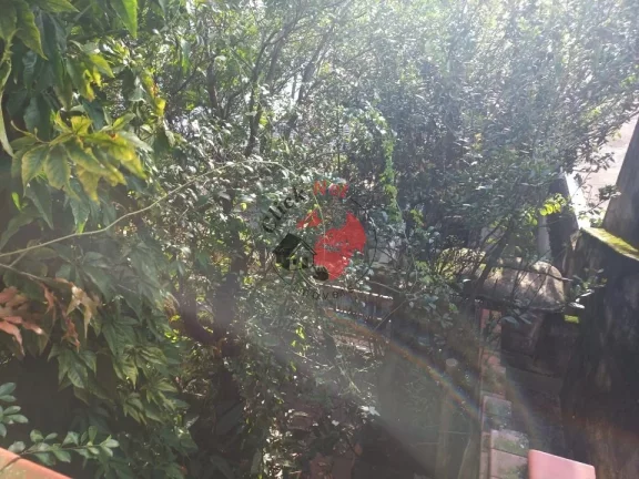Imagem Terreno à Venda em São Bernardo do Campo em uma Ótima Localização no Bairro Baeta Neves