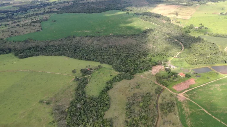 Imagem Fazenda à Venda em Santa Cruz de Goiás – Dupla Aptidão!
