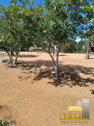 Imagem Chácara com 3 Quartos à Venda, 150 m² em Portal das Araras - Três Lagoas