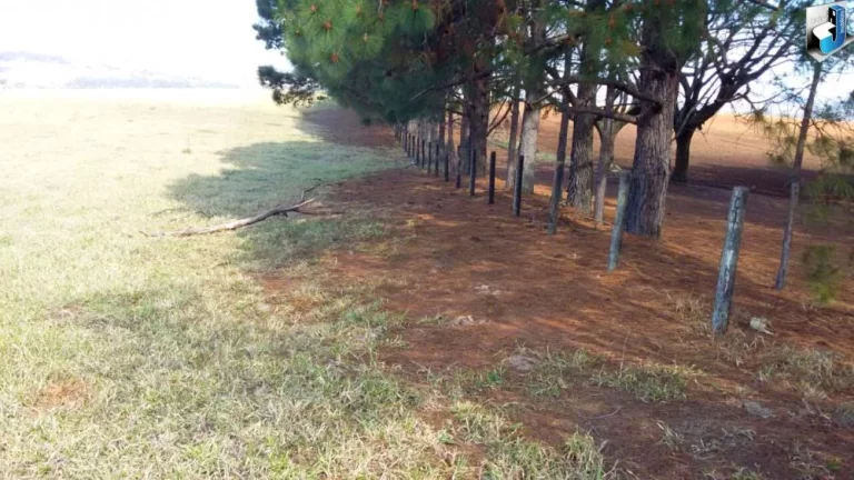 Imagem Área de 858.720m² na Rodovia Antônio Romano Schincariol KM 118 - Tatuí/SP