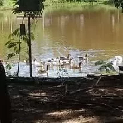 Imagem Casa em Sorocaba
