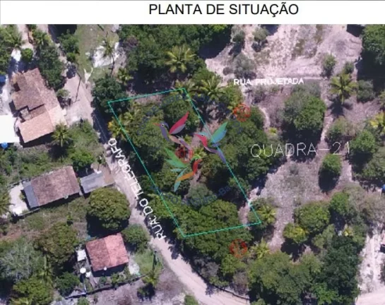 Imagem Oportunidade Única em Caraíva, Porto Seguro, Bahia