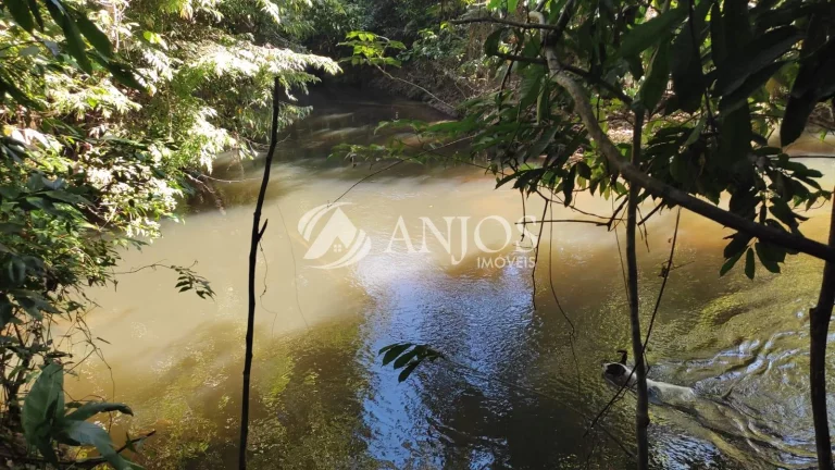 Imagem Sítio 68 HÉCTARES A 80 KM DE SINOP à venda, ÁREA RURAL, SINOP - MT