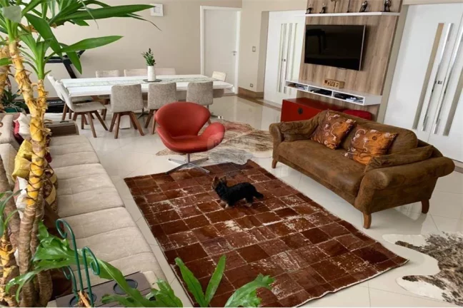 Imagem Apartamento na alameda campinas - Mobiliado