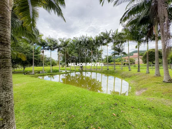 Imagem Sítio à venda em Camboriú-SC com 15.595m². Um verdadeiro paraíso com 6 lagoas, pomar e móveis rústicos.