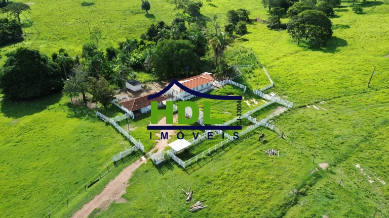 Fazenda de 1ª com 155 Hectares prox. à Goiânia.