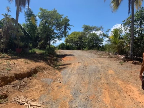 Imagem A 5ª Avenida Imóveis selecionou para você essa ÁREA com 15.903,00m2, ótima topografia, ideal para Implantação SEDE DE EMPRESAS e ou INCORPORAÇÃO